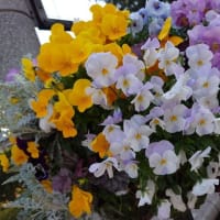 4月4日の練習