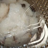 おばあちゃんが食べたかったのかも😌