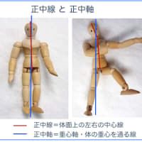 体の正中線と正中軸 図で示すと みーばぁ整体室より 体の謎とバトルの日々