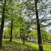 今月と、あと4回。。
