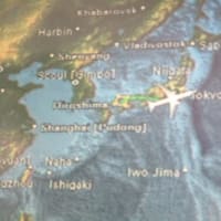 飛行機で羽田へ！富士山が綺麗でした！広島市は曇りでしたが雲の上に出ると眩しいお日様が輝いていました行機で羽田へ！美しい富士山！広島市は曇りでしたが雲の上に出ると眩しいお日様が輝いていました