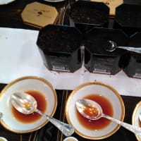 紅茶のテイスティング　in　帝国ホテル　東儀秀樹氏もうなる味