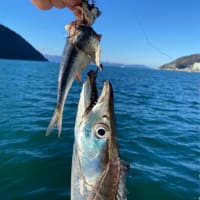 釣果報告‼︎20250118釣りぞめ