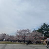 主語が「俺」だった自分へ
