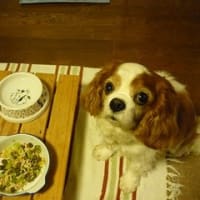 心配の種・・・