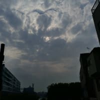 とにかく消費税廃止の人に決めた