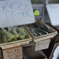 帯津先生の生と死の統合～無人直売ニンジン＆キュウリ