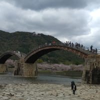 春の安芸の宮島　厳島神社　綿帯橋散策