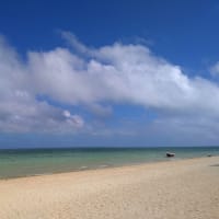 南の島へ④