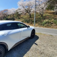 自治会の桜山の草刈り　　晩ご飯はローストビーフ
