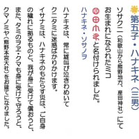 あなにえや再興の軌跡✨️