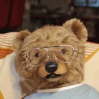 Hug me bear マロン色のヒグマくん　②