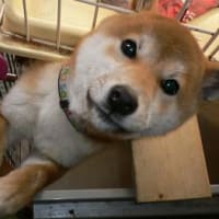 　　　　　　　　　もうすぐ　満　2ヵ月