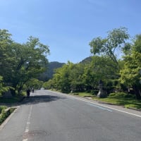 フフッフ〜サァ〜♪