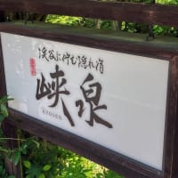 静寂と言う音の中で ・・・名勝 天龍峡、そして、日本のチロル 「下栗の里」