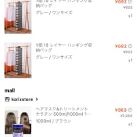 【SHEIN買ったもの】クローゼットの中整理、パソコンケースなど