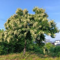 意地悪ですかねぇ…？