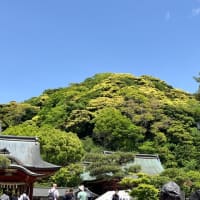 せっかくなので♪