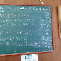 20230922ダイビングログ