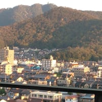 落ち着きました。感謝です。