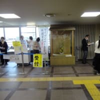 市役所挿花４月１４日