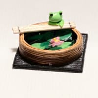 ミニチュア:睡蓮鉢とカエル miniature: biotope bowl& a frog