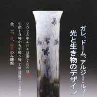 「光と生き物のデザイン」／みらい美術館