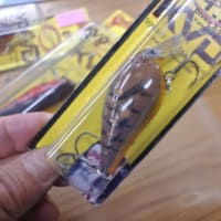 ストライクキング KVD HC1.5　新品3個　クロー系