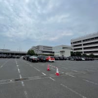 勝負は日曜にあり？