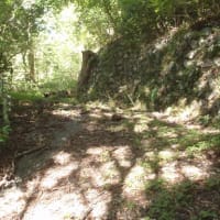 箱根水源地清掃　ボランティア活動