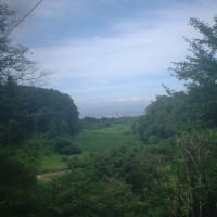 福島県郡山市郊外緑の風吹く高屋敷稲荷神社🦊