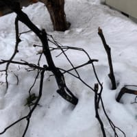 車のディーラーの方へ