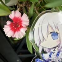成瀬シリーズを読み返す
