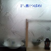 暑さには慣れました！！寒さより良いのです！！