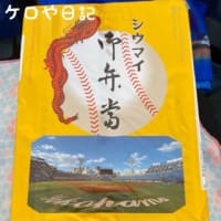 久々の野球観戦