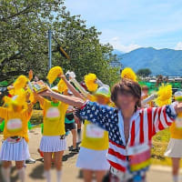 第２２回小布施見にマラソン