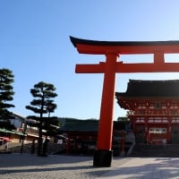 伏見稲荷神社　早朝が人が少なくお勧めです。
