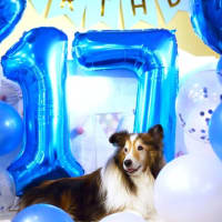Happy 17th Birthday, Qoo♪　～産まれてきてくれてありがとう～