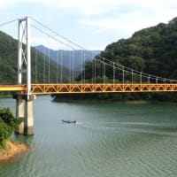 7月の水辺の風景