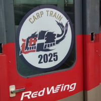 Carp Train 2025