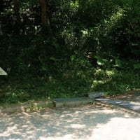 宮地嶽神社　宮地山