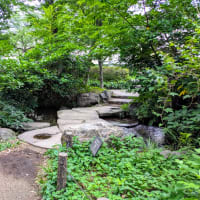 はてなで記事更新しました（7）