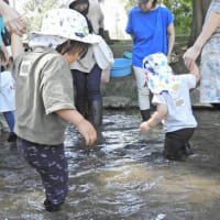 ちびっこ遊び隊！通信　2025年7月9日(水)鴨々川で「水あそび」