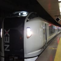 ネックス　ソニーα５５０