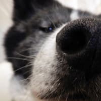 お米、ありがとうございます！