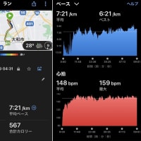 父９８歳の誕生日 & 朝ラン８ｋｍ