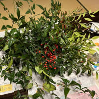 正月花