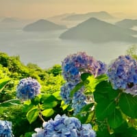 紫雲出山からおはようございます。