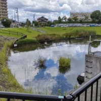みよし：ため池巡り（みよし町）