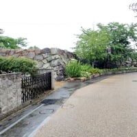 中津城 豊前　絵図を参照して門跡を見学する　東海古城研究会の見学会で訪れました